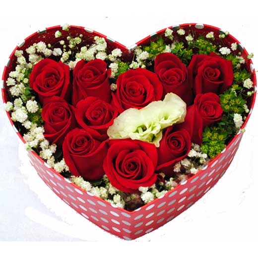 11朵红玫瑰,黄莺满天星点缀（包装盒因每个配送店备货不同而有所改变）