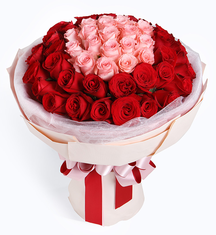玫瑰50枝：戴安娜粉玫瑰19枝，红玫瑰31枝