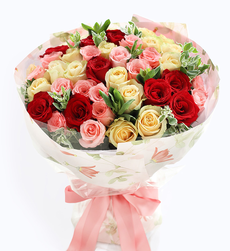 玫瑰共50枝：红玫瑰11枝、香槟玫瑰19枝、戴安娜粉玫瑰20枝、叶上花10枝