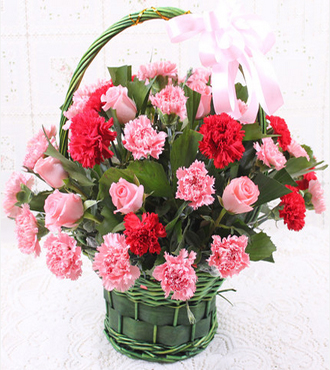 10支粉玫瑰，16支红色康乃馨，30支粉色康乃馨，绿叶丰满搭配。